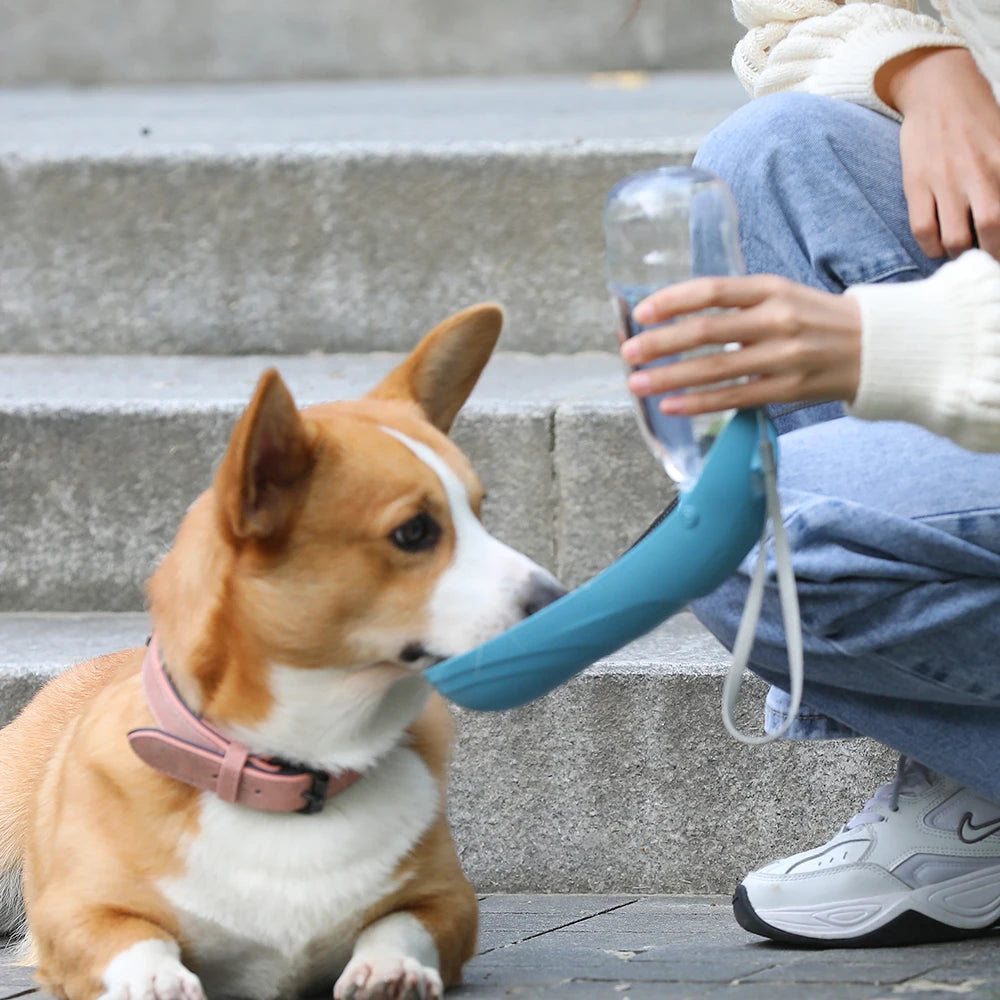Hundetrinkflasche