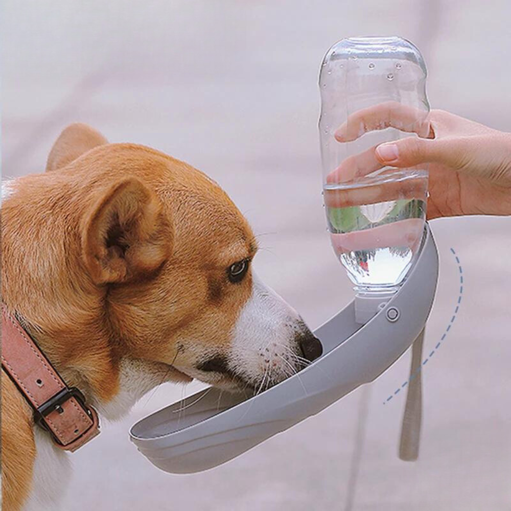 Hundetrinkflasche